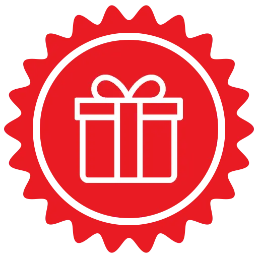 One free gift (when purchased with X300 Pro)